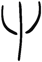 Image of the occurrence